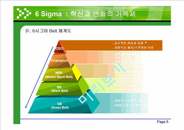 6 Sigma : 혁신과 변화의 기폭제   (6 )